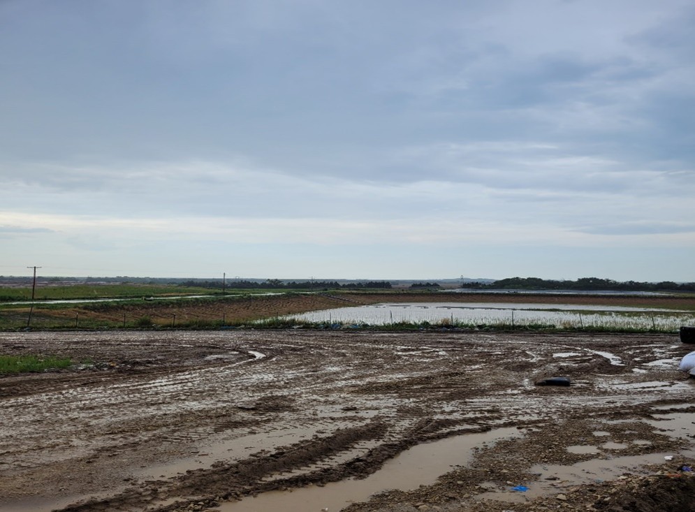 Landfill wet mud.jpg